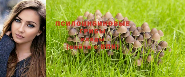 гашишное масло Алексин