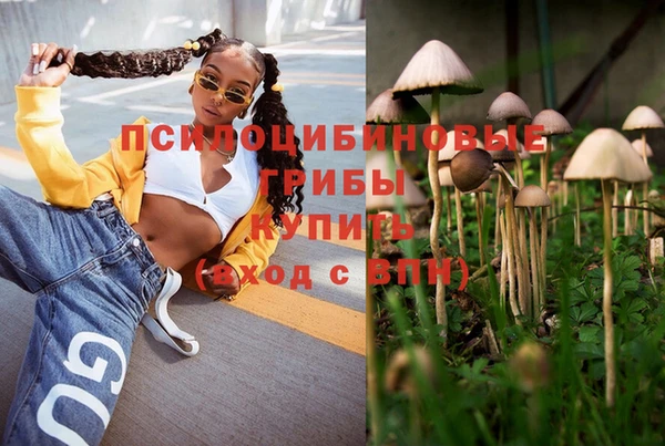 а пвп мука Алзамай